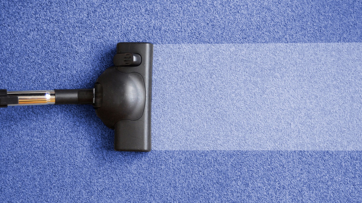 carpet cleaning carpet cleaning