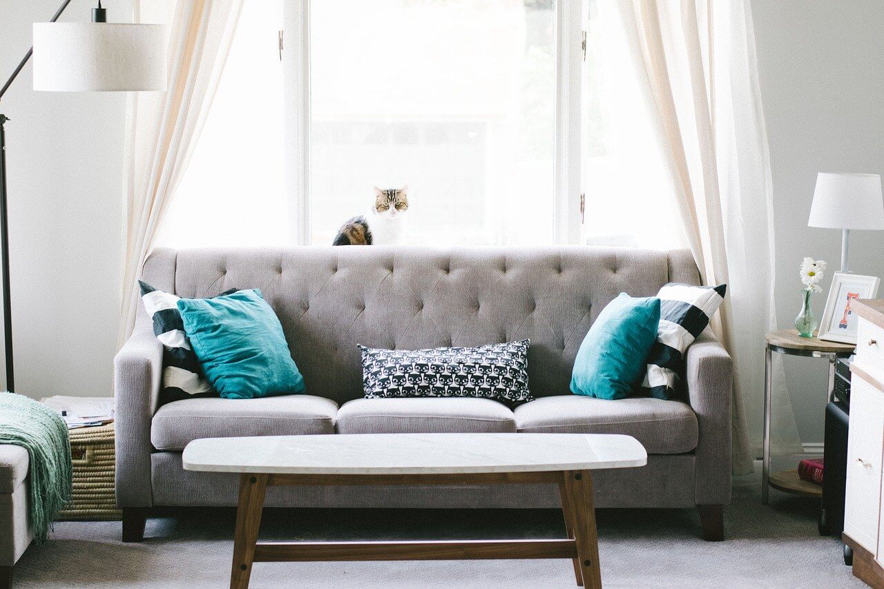 couch (2)